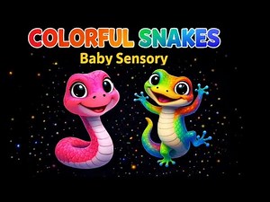 Reptile Dance Party 🐍🦎 | Baby Sensory Snakes & Geckos | Calming Music & Bright Colors | Wise Roots