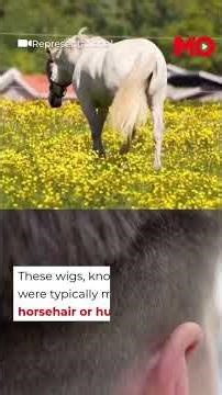 Why Justice Sujoy Paul’s Colonial Wig At Raj Bhavan Got The Internet Talking| Mo of Everything