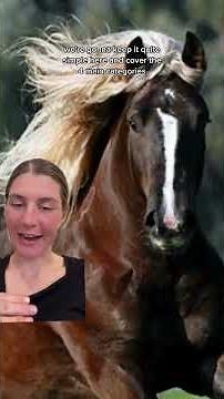 The Beauty of Chestnut Horses