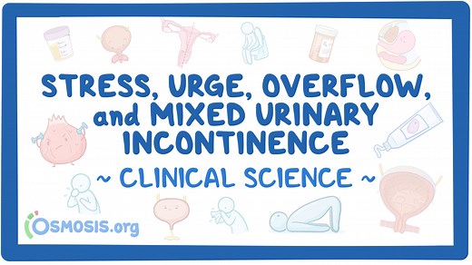 Stress, urge, overflow, and mixed urinary incontinence (GYN): Video & Meaning | Osmosis