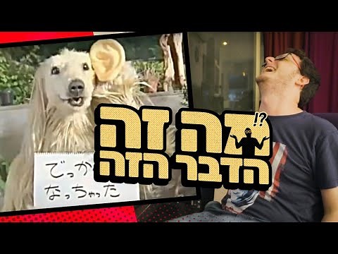 מה זה הדבר הזה? 1 | קונסומה פאנצ'י Consome Panchi (פרסומת יפנית)