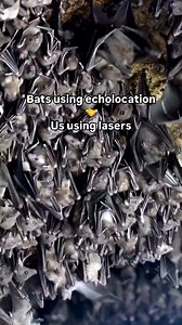 When it comes to safety, we don’t wing it. 😉🦇 Stick around to learn how we use LiDAR technology to make sure our projects are built safely and correctly.👆 | Utah DOT