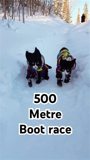 500 metre boot race