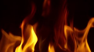 7.6K views · 655 reactions | Here’s one from the way back machine. Before starting Atomic Playboys, I recorded this demo with @kasimsulton. To this day I really love the bridge section. Might have to revisit it. | Steve Stevens | Facebook