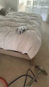 #thuraclean #woolrugcleaning #cleaning #villagesflorida #satisfying #cleantok #home