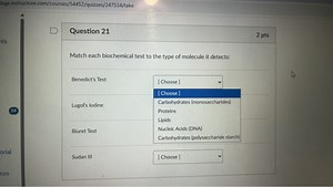 Match each biochemical test to the type of molecule it detects:... | Filo