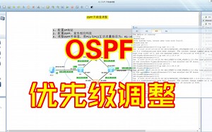 OSPF——调整优先级控制选路