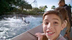 New adventures you'll have to see to believe | SeaWorld