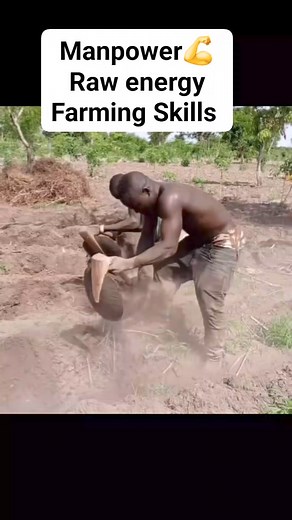 Making Ridges with farming HOE! The ridges could be used for farming anything that is farmed using ridges #Farming #TivKingdom | Tiv Kingdom