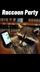 18K reactions · 5.5K shares | Raccoon party New Orleans is waking up...