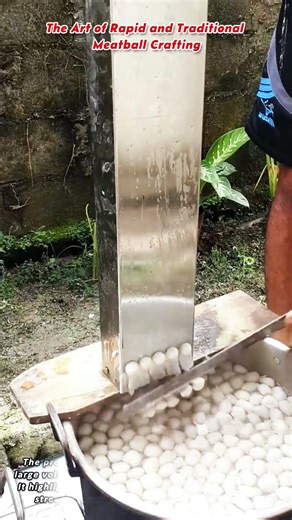 The Art of Rapid and Traditional Meatball Crafting