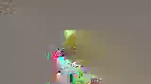 425K views · 16K reactions | HOW COOL! A researcher in Antarctica got an up close and personal encounter with this baby killer whale! STORY: https://bit.ly/2U6AHgJ | FOX 13 News - Tampa Bay | Facebook