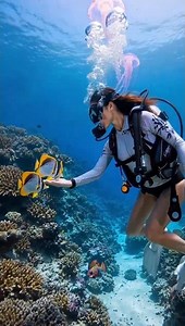 🐠 Underwater Adventure | Beautiful Coral Reef & Colorful Fish | Ocean Diving 🌊