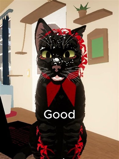 Typewriter lesson #warriorcats #wcedits #wcue #warriors