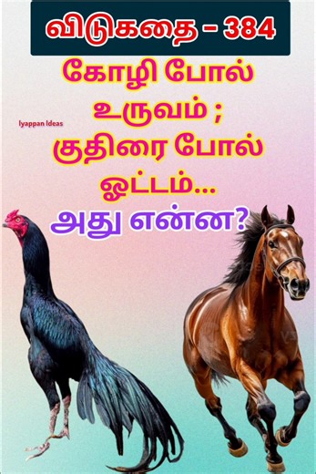 தமிழ் விடுகதைகள்|Tamil Riddles with Answers |Vidukathaigal in Tamil#riddles #tamilriddles#shorts