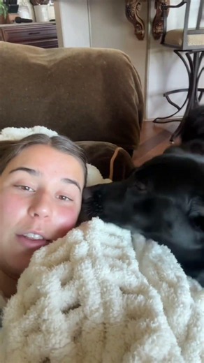Bear wants to play so bad #puppy #dog #cute #dogmom #trending #puppyvideos