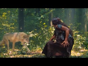 How We Domesticated Dogs