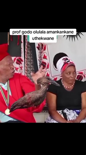 Traditional Healer Prof Godo and His Wife - Amankankane Children