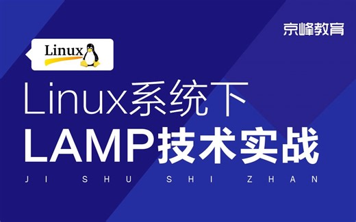 linux运维必修课，LAMP技术实战