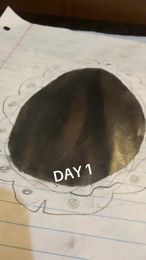 Artistic Transformation: Drawing to Mirror Reflection