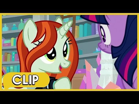 Chrysalis Disguises as a Photographer - MLP: Friendship Is Magic [Season 8]