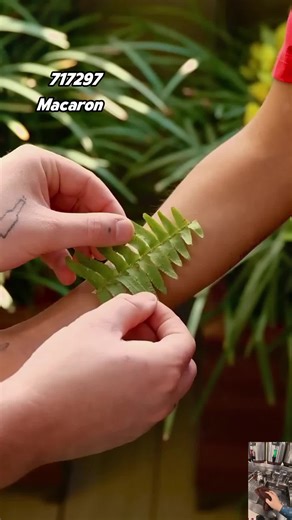 Exploring Fascinating Stories on Reddit