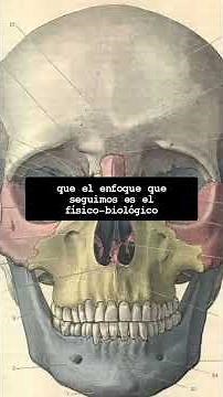 Nuestra forma de estudiar y entender la antropología