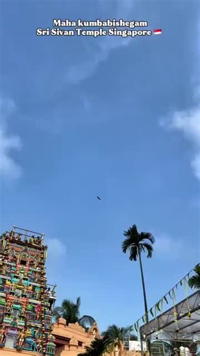 🇳🇪❤️💚A.p.loga 3❤️💚🇳🇪 (@a.p.loga3)’s videos with original sound - 🇳🇪❤️💚A.p.loga 3❤️💚🇳🇪