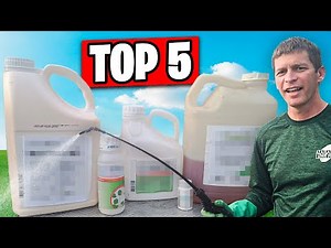 Top 5 Herbicides for My Lawn