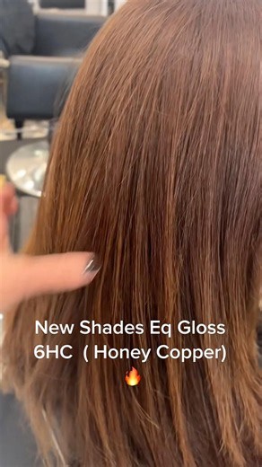 Redken Hit it with new Shades gloss 6hc- See how we used it in salon.