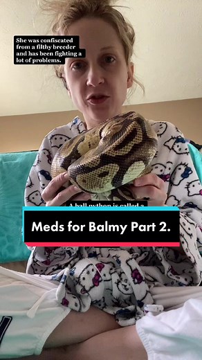 Balmy the Ball Python: Meds Administration and Care Tips