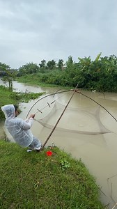 Amazing Fish Catching with Pull Net | Fishing & Village Tradition