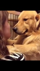 459K views · 42K reactions | Reacción de un perro al ser adoptado. A...