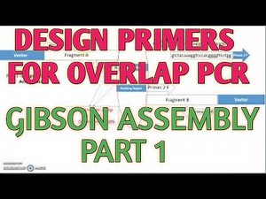 Design primers to amplify small DNA fragments.OVERLAP pcr. PART 1.