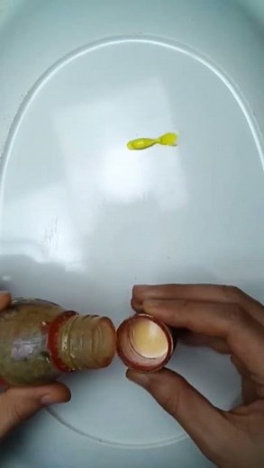 How to paint with oil colors