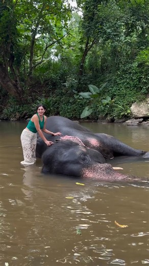 Ceylonese💚💙💚 📷 @payal_chengappa_official | Ceylonese