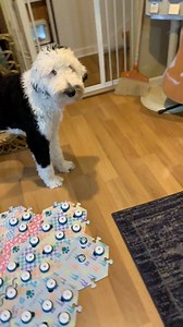 1M views · 10K reactions | Whataboutbunny on Reels | Facebook