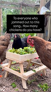 2.5K views · 55 reactions | If you’re deep into backyard chickens,...