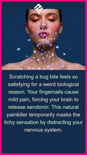 Why Scratching Itches Feels Satisfying? | Why Scratching Itches Feels Satisfying