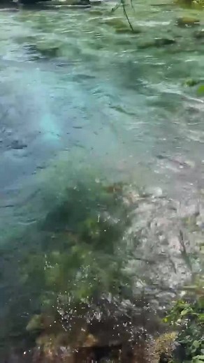 The Blue Eye - A swim with a 20 degrees contrast, and a natural phenomenon. The Blue eye is a 50 meters deep natural spring, that discharges 18 000 Liters/ second at high water, why the temperature is only 10 degrees. Seen as a source of life and the most clear and pure water you can drink. 💙 A fascinating experience and felt just like taking a swim at home in early spring time! 😄 #blueeyealbania #theblueeye #naturalspring #coldwater | Ksamil Albania