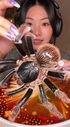 Tarantula ASMR mukbang #sora #godhelpus