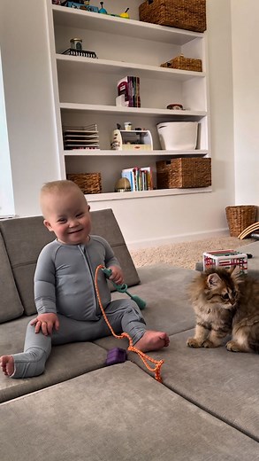 Kirstin Czernek | World let me introduce you to the cutest duo, Lukie and Frankie 🥰 #downsyndrome #adoption #leukemia #kitten #siberian #reels #reelsinstagram | Instagram