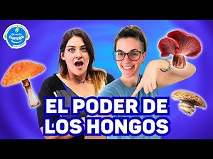 El viaje a lo que no sabías de los #hongos alucinógenos
