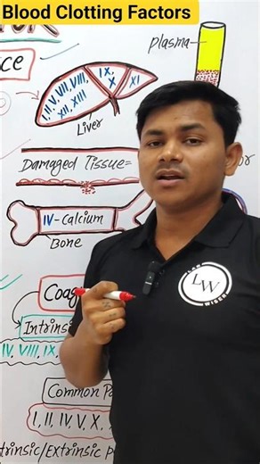 blood clotting factors|clotting factors| clotting factors source|clotting factors kya hota hai