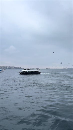 #new #kesfet #deniz #istanbul #sarki