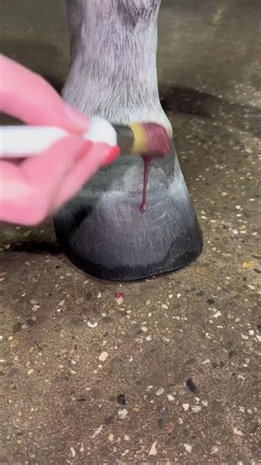 Lisa Frank on TikTok