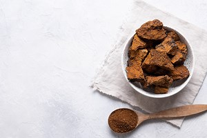 Is Chaga Mushroom Safe During Pregnancy and Breastfeeding?