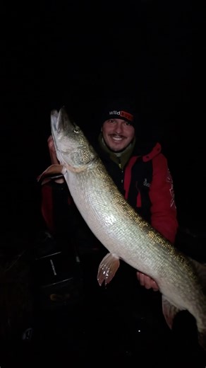 Hecht #shorts #fishing #pike #pikefishing #hecht #hechtangeln #raubfisch #savagegear #abugarcia