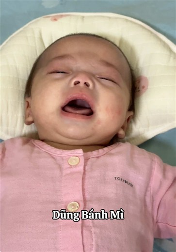 Phận mồ côi: bố bỉm sữa Dũng Bánh Mì vội không kịp bế