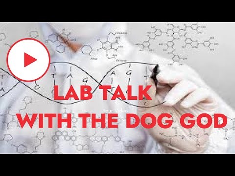 (MASTER CLASS) HOW TO LINE BREED COMPETITION/WORKING DOGS CORRECTLY (IN THEORY & IN PRACTICE)